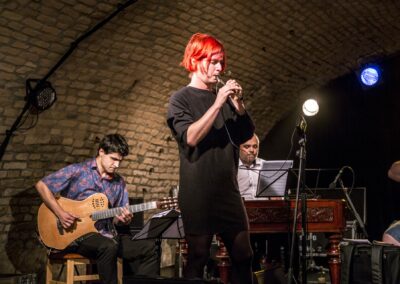 Fotografia z podujatia v rámci celomestského festivalu Bratislavské kultúrne leto